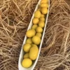 Domat Çizik Yeşil Zeytin (2 kg)