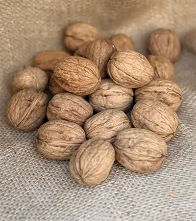 Merzifon Yerli Ceviz (1000 gr)