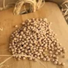 Atatohum Nohut 1000gr