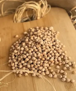 Atatohum Nohut 1000gr