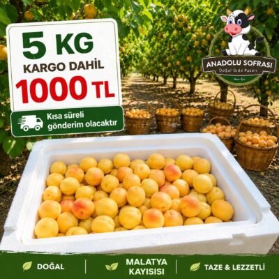 Taze Malatya Kayısısı - 5KG